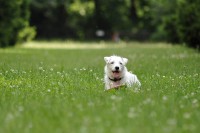 /album/fotogalerie/dsc9105-jpg/