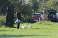 /album/agility/img-0172-jpg/
