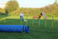 /album/agility/img-0420-jpg/