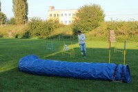 /album/agility/img-0424-jpg/