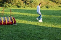 /album/agility/img-0427-jpg/