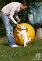 /album/agility/img-5725-jpg/