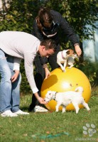 /album/agility/img-5728-jpg/