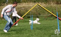 /album/agility/img-5993-jpg/
