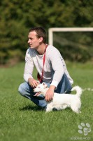 /album/agility/img-6039-jpg/