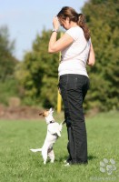 /album/agility/img-6050-jpg/