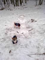 /album/na-prochazce-zima-2012/a19022011227-jpg/