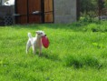 /album/fotogalerie-kiera/img-0501-jpg/