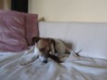 /album/electra/img-0317-jpg1/